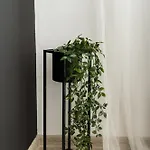 Apartament Koa - Moon Penthouse Braszów